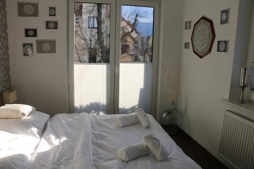 Apartament W SERCU USTRONIA - Apartment - Ustroń