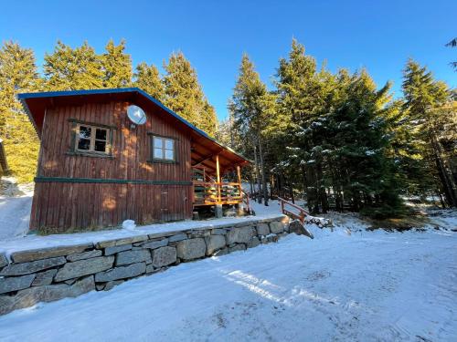 Fenyőtoboz kulcsosház - Chalet - Izvoare