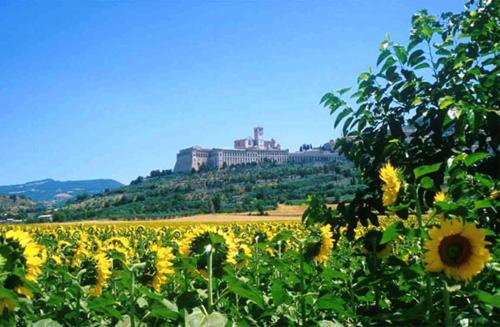 Hotel Cristallo - image 13