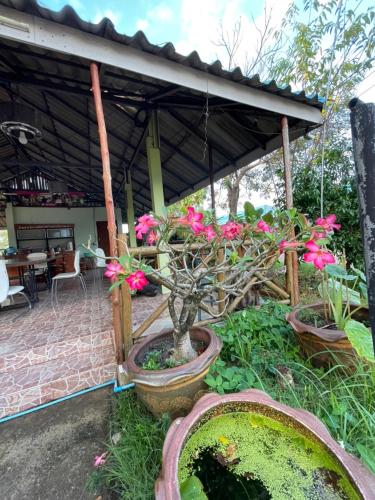 เพชร การ์เด้น -Phet Garden Resort, Nakhonthai 1 in Nakhon Thai