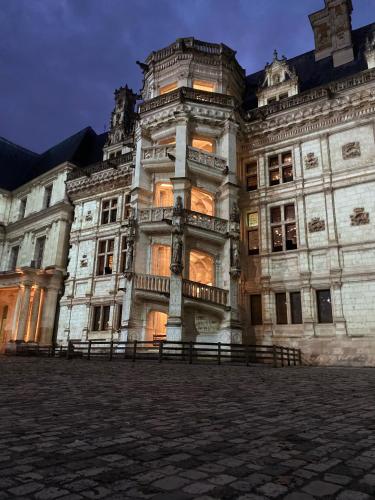 Appartement spacieux vue sur Loire proche du centre