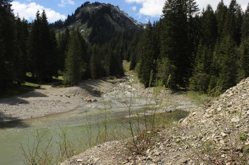 Alpenhotel Widderstein - image 10