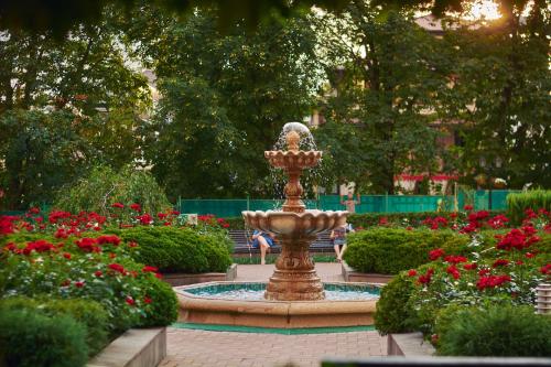 Sanatoriy Victoria - image 7