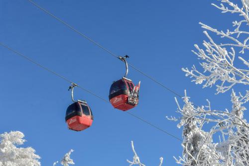 Hotel Jaworzyna Krynicka - image 6