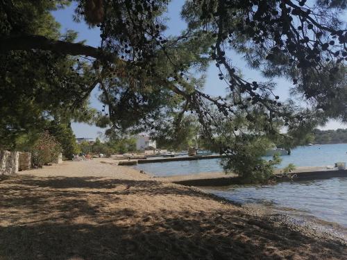  Apartments M in Pirovac