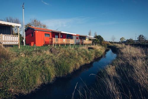 Camping du Lac de Saujon - Camping - Saujon