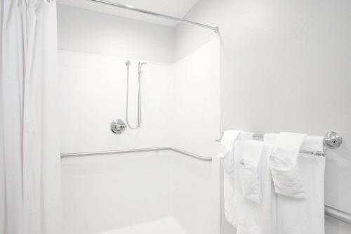 Microtel Inn & Suites by Wyndham Gardendale - image 12