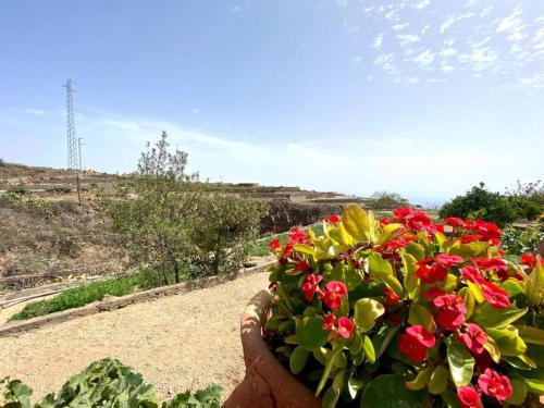 Casa rural con chimenea y BBQ en La Escalona, Tenerife Sur