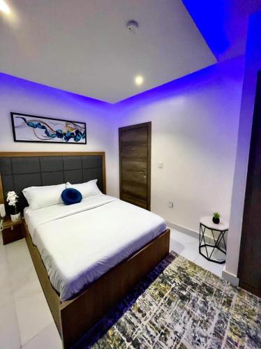 Beautifully Furnished 2 Bedroom Apartment Ikate lekki lagos
