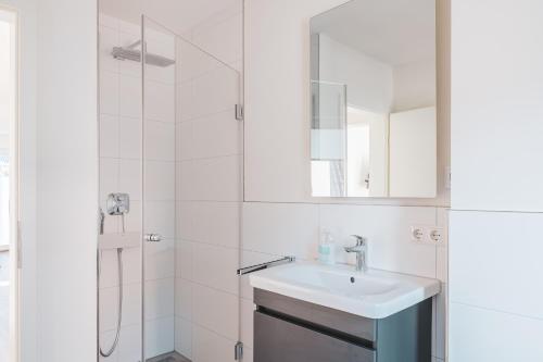 Apartment with Balcony image 8