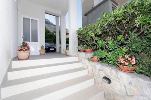 Apartments Ivan - image 3