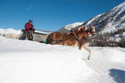 Pontresina Youth Hostel - image 11