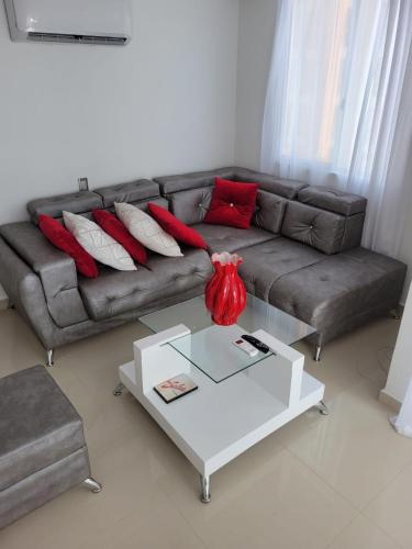 Luxury Apartment With all Amenities
