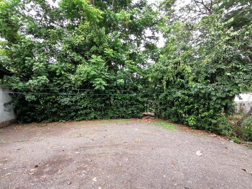 Habitacion Familiar Centrica