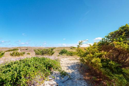 Dunluce #12-WW