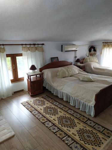 Gologanova house