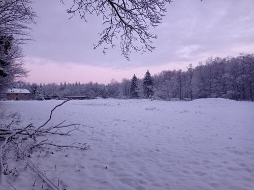 Les Ecureuils