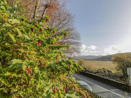 Bryn Melyn Artist's Cottage in Pen-y-bryn