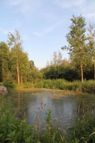 Agroturystyka Nowa Wolka in leczna