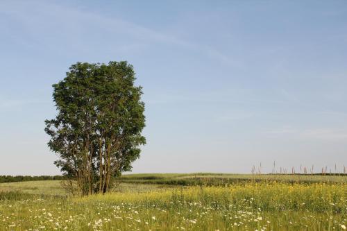 Agroturystyka Nowa Wolka in leczna