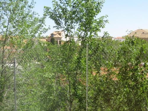 Apartamentos Torr Ciruelos - Aranjuez Cerca al Parque Puy du Fou y Warner