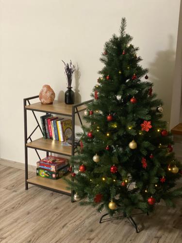 V15 Apartment, Druskininkai (foto 3)