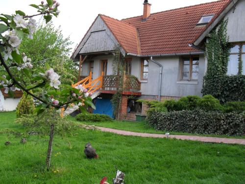 Hoffmann Vendégház - image 10