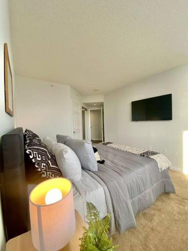 Gorgeous 2 BR Bedroom Condo At Ballston place with gym 2011 in Arlington, USA