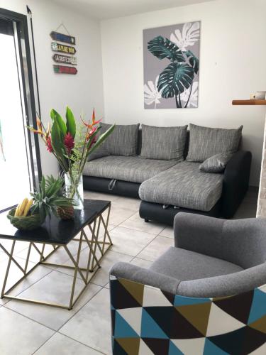SUPERBE STUDIO A LA BAIE DES PÉLICANS 4