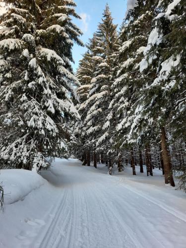 Cihlarka - Apartman 309 in Cerny Dul
