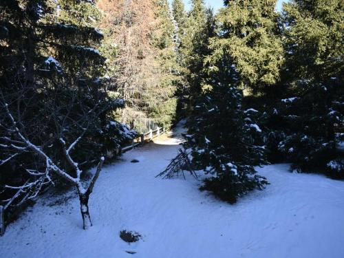 Appartement Font-Romeu-Odeillo-Via 3 pièces 7 personnes - FR-1-580-8 - image 12
