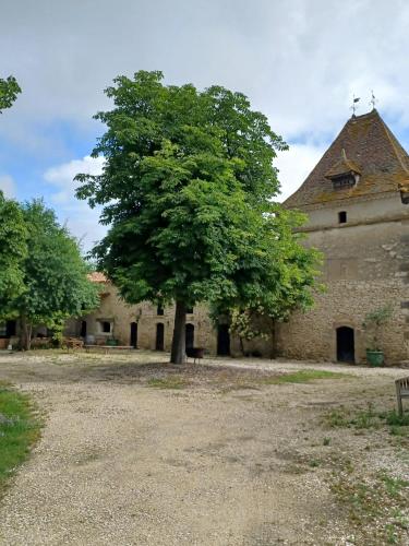 Domaine l'Esprit d'Antan - Chambre d'hôtes - Villeneuve-sur-Lot