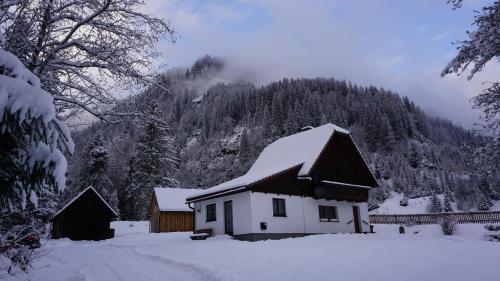 Haus Cilli - Donnersbachwald