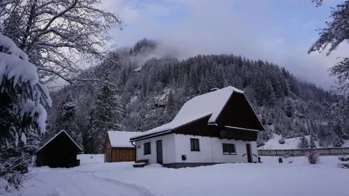 Haus Cilli in Donnersbachwald, Österreich