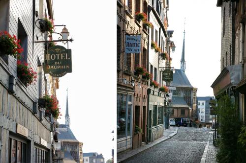 Hotel Le Dauphin - Hôtel - Honfleur