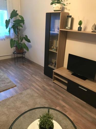 Menta apartman - Apartment - Szolnok