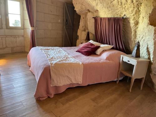 L’escale Troglo au bord de la Loire gîte à louer Souzay-Champigny
