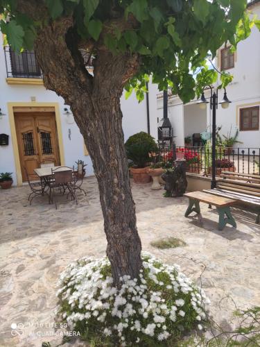 Apartamentos "La Rueda" in Chulilla