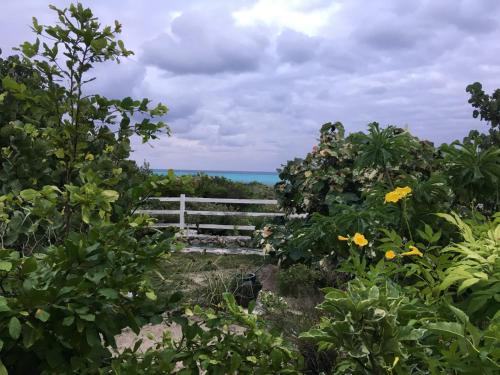 La Grande Pettite Villa in Grand Turk