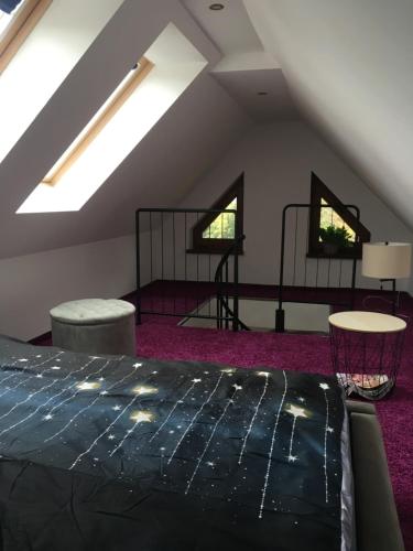 Apartament Urocza przy Wyciągu SKI Arena, Szklarska Poręba (foto 9)
