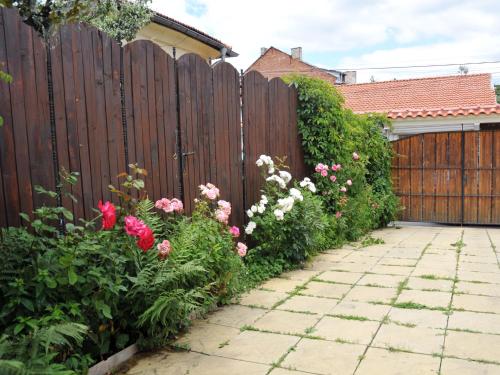 Guesthouse Elizabeth - Samokov