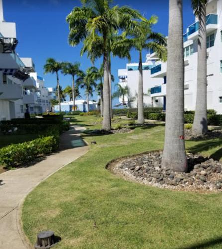 View, Breezy Nights Puerto Rico in Loiza