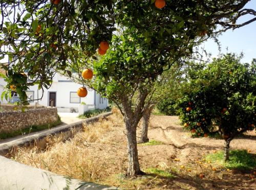 Casas do Pomar gîte à louer Caldeiroa