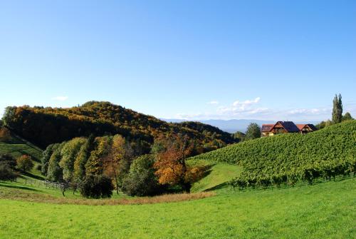Weingut Winzerzimmer Rothschädl - image 12