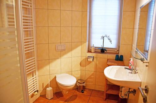 One-Bedroom Apartment image 3