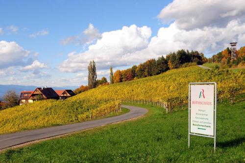 Weingut Winzerzimmer Rothschädl - main image