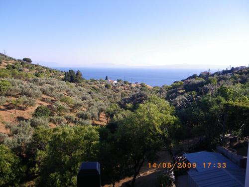 Pansion Platana Pansion Platana