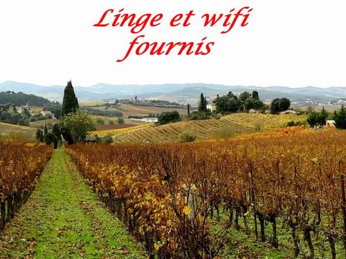 La Languedocienne appartement climatisé centre ville wifi inclus - Location saisonnière - Limoux