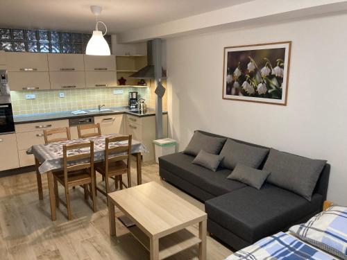 Konyha, Šedivinské apartmány - rodinné apartmány v Orlických horách (Sedivinske apartmany - rodinne apartmany v Orlickych horach) in Svitavy