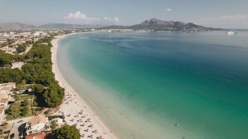 Hotel Ivory Playa Sports & Spa - image 14